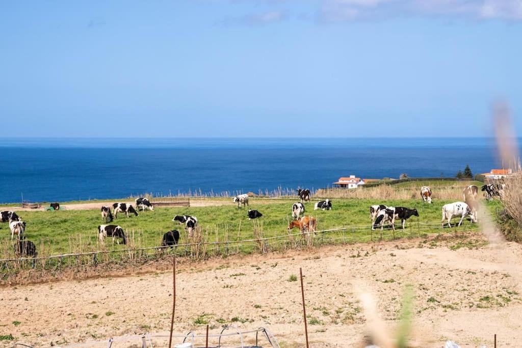 Country House In Azores - S. Miguel 리베라그란데 외부 사진